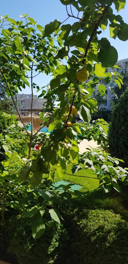 Apartment With Green Terrace Μπουργκάς Εξωτερικό φωτογραφία